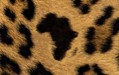 Hidden value in Africa