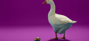 Goose and 'golden' egg