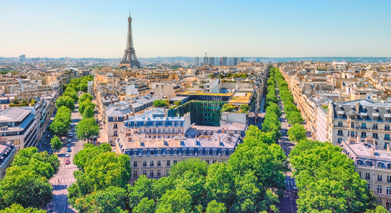 Picture of the Company