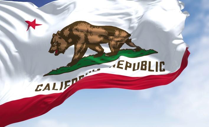 Picture of the Company