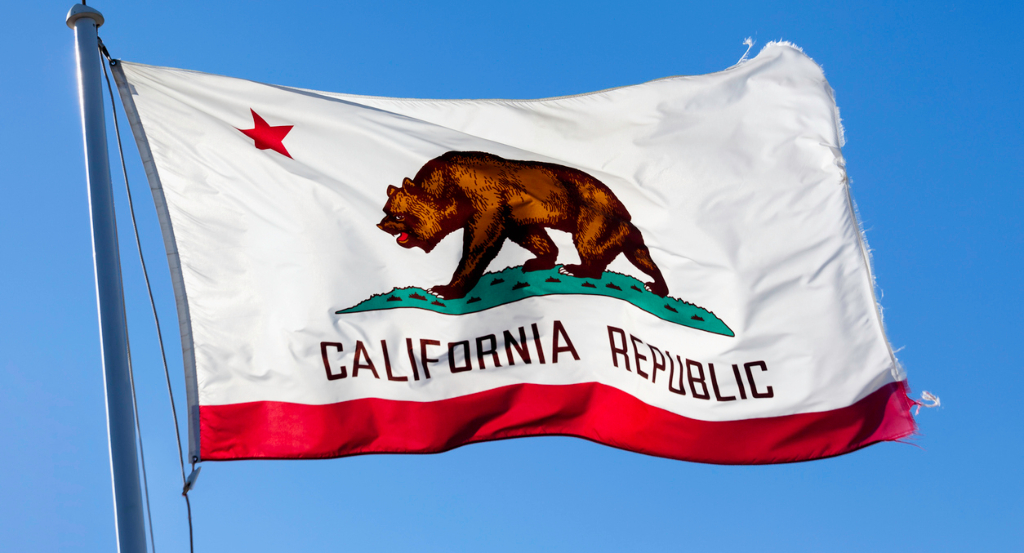 Picture of the Company