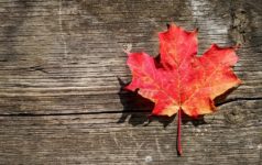 CPP: the world’s top LP gets bigger and better canada