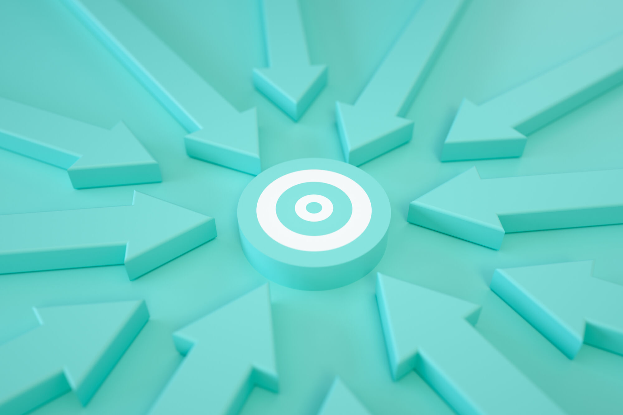 Picture of the Company