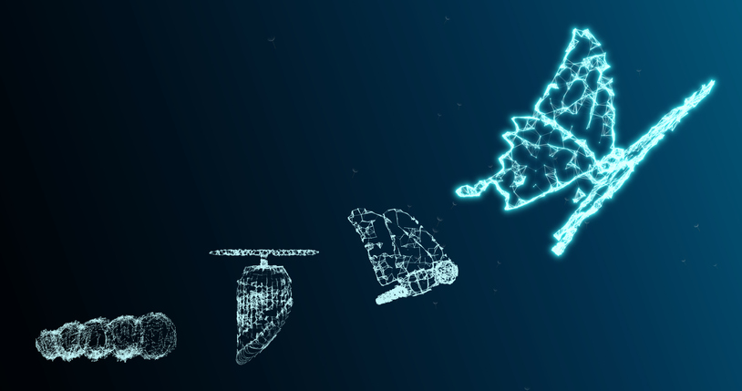 Picture of the Company