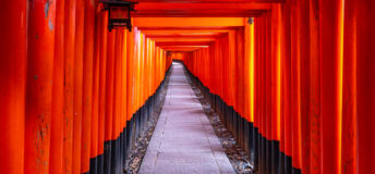 Iconic Fushimi Inari Shrines Path A Thousand Gates of Dedication During the Early Morning in Kyoto, Japan Asia