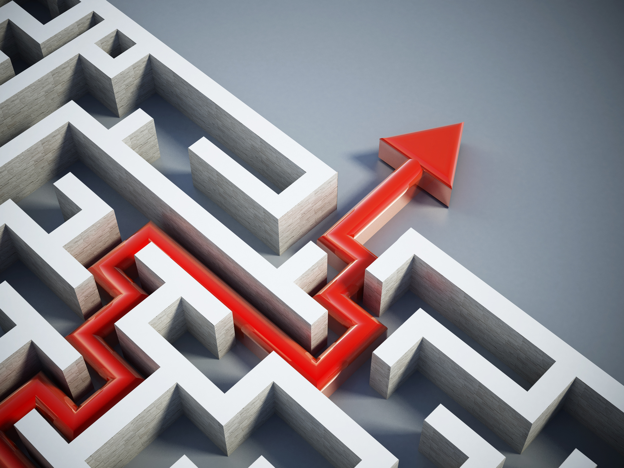 Picture of the Company