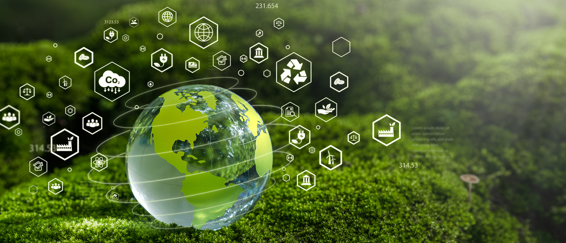 Picture of the Company