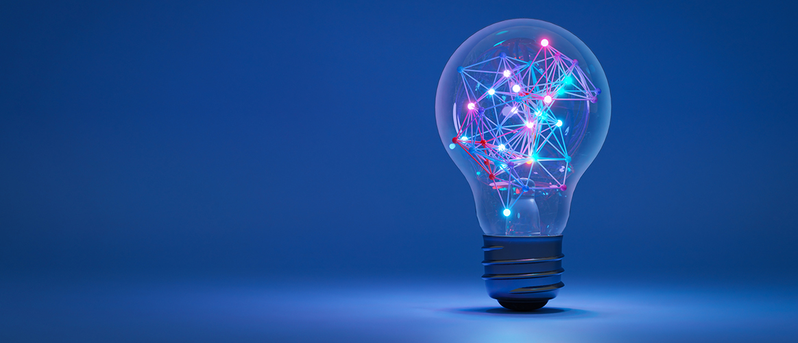 Picture of the Company