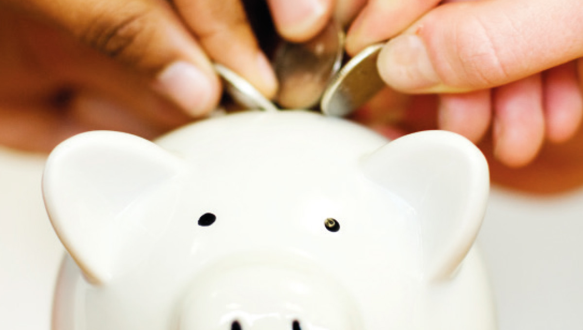 Picture of the Company