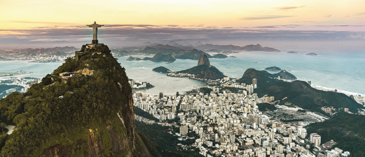 Picture of the Company