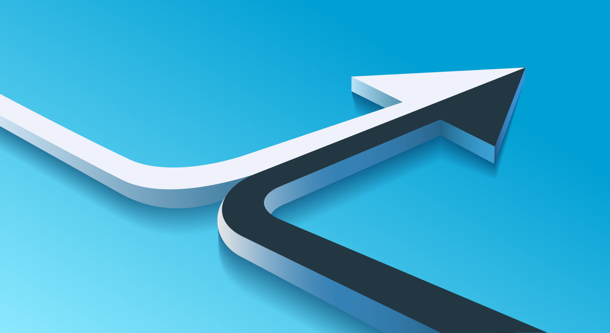 Picture of the Company